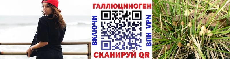 Псилоцибиновые грибы GOLDEN TEACHER  Пестово 